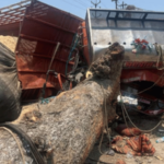 Jalna News – भरधाव आयशर टेम्पो झाडावर आदळला, अपघातात दोन जण ठार