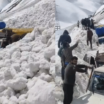 Ladakh Avalanche – लडाखमधील झोजिला खिंडीत हिमस्खलन, दोघांचा मृत्यू; अनेकजण अडकल्याची भीती