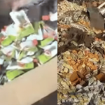 अन्न सुरक्षा विभागाचे दोन राज्यांत मोठे छापे; 150 टन मुदत संपलेले अन्न आणि भेसळयुक्त पनीर जप्त