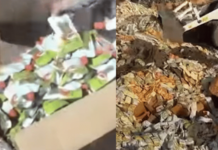 अन्न सुरक्षा विभागाचे दोन राज्यांत मोठे छापे; 150 टन मुदत संपलेले अन्न आणि भेसळयुक्त पनीर जप्त