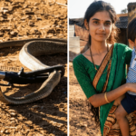 आईचं काळीज ते आईचंच! नागावरून उडी मारत पोटच्या गोळ्याचे प्राण वाचवले