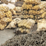 एपीएमसीत सडतोय रोज 130 गाड्या भाजीपाला; गॅसचा तुटवडा, पालिकेची फेरीवाल्यांवर कारवाई