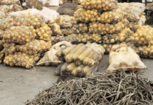 एपीएमसीत सडतोय रोज 130 गाड्या भाजीपाला; गॅसचा तुटवडा, पालिकेची फेरीवाल्यांवर कारवाई