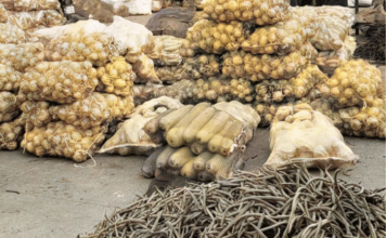 एपीएमसीत सडतोय रोज 130 गाड्या भाजीपाला; गॅसचा तुटवडा, पालिकेची फेरीवाल्यांवर कारवाई