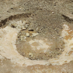 तानसा अभयारण्यातील सगळे पाणवठे कोरडेठाक; पशुपक्ष्यांची पाण्याविना तडफड