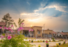 वायनाड भूस्खलनग्रस्तांना मिळाली नवीन घरं, 178 कुटुंबांना मालकीहक्क कागदांचे वितरण