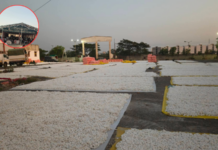 Beed News – ‘सामना’चा इफेक्ट! बंगळुरूला मागे टाकत बीड बनलं देशाचं टॉप रेशीम हब