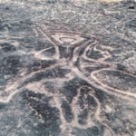 कोकणातील कातळशिल्पांना मिळणार आंतरराष्ट्रीय ओळख, माहितीपट बनविण्यास साडे 14 कोटींचा निधी