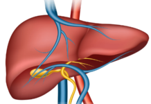 जगभरात यकृताच्या आजाराचा वाढता धोका; लॅन्सेटच्या अहवालातून धक्कादायक खुलासा