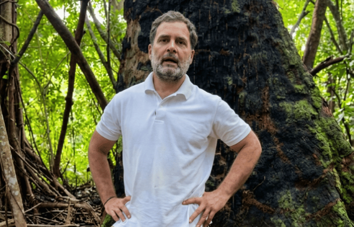 Rahul Gandhi (1)
