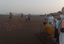 Ratnagiri News – वेळास समुद्रकिनारी कासव महोत्सवाचा श्री गणेशा; 231 पिल्लांचा अरबी समुद्रात यशस्वी प्रवास