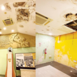 संयुक्त महाराष्ट्र स्मृती दालन भग्नावस्थेत; छताला तडे, पाण्याची गळती, भिंतींना बुरशी, कुबट उग्र दर्प, कबुतरांचा ताबा… सारेच भीषण