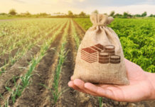 सामना अग्रलेख – पीक विम्याचा गोलमाल