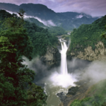 अॅमेझॉन: जगाचे ‘फुप्फुस’ धोक्यात! amazon rainforest