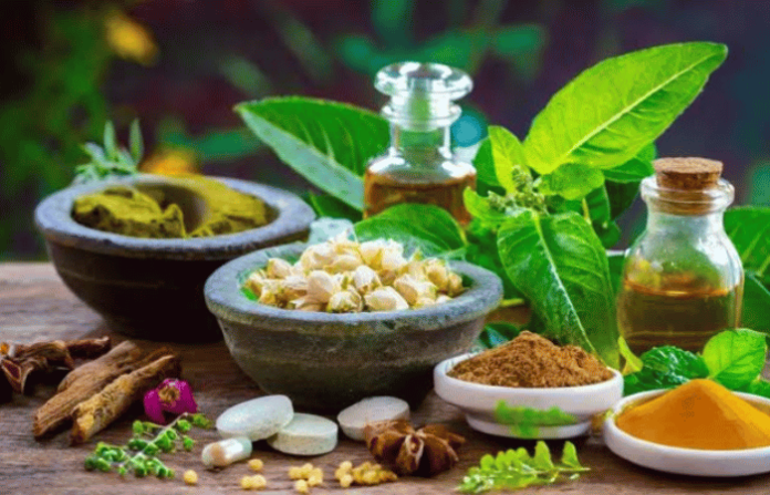 ayurvedic herbs