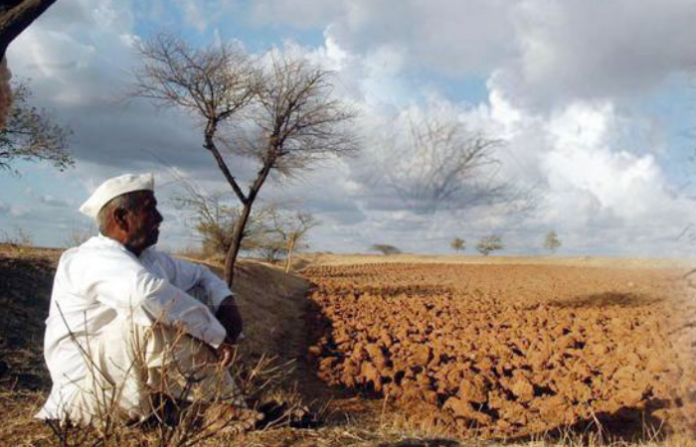 farmer