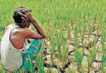 Yavatmal News – पिक विमा, कर्जमाफीसाठी शेतकऱ्यांचा संताप; 16 ग्रामपंचायतींचे गावबंदी ठराव