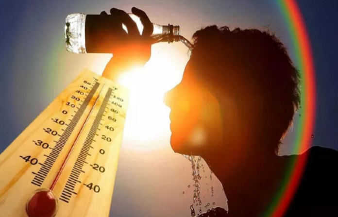 high temperature maharashtra