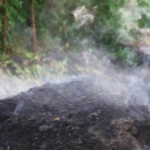 इंधन टंचाईच्या काळात टेरवमध्ये अवैध कोळसा भट्ट्या पुन्हा धगधगल्या! बंदीला हरताळ illegal-charcoal-kilns-resurface-in-terav-chiplun-amid-fuel-shortage