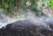 illegal-charcoal-kilns-resurface-in-terav-chiplun-amid-fuel-shortage