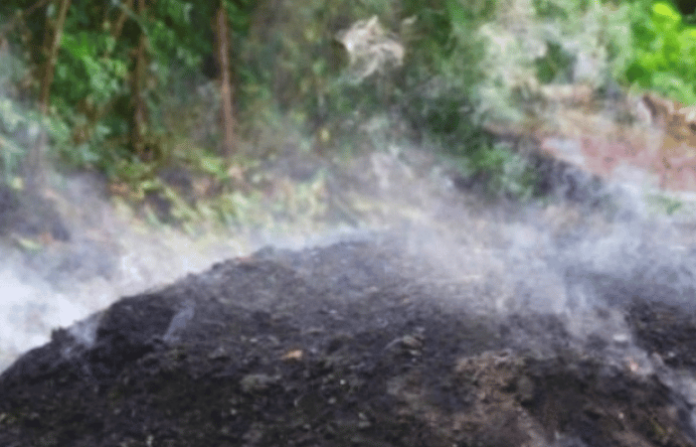 illegal-charcoal-kilns-resurface-in-terav-chiplun-amid-fuel-shortage illegal-charcoal-kilns-resurface-in-terav-chiplun-amid-fuel-shortage