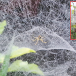 लेन्स आय – संयमाच्या, सृजनाच्या कथा