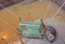 विहिरीत पडलेल्या बिबट्याचे थरारक रेस्क्यू, चार मिनिटांत वनविभागाची यशस्वी कारवाई