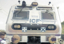 लोकलची गाईला धडक; ‘परे’ची वाहतूक विस्कळीत, वाणगाव- डहाणूदरम्यान प्रवाशांचे हाल