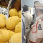 रसाळ अन् पिवळे धमक आंबे बघून तोंडाला पाणी सुटत असेल तर सावधान… कृत्रिमरित्या पिकवलेले 200 किलो आंबे जप्त; श्वसनविकारांचा होता धोका