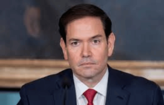 marco rubio