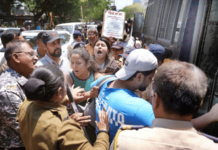 nashik tree cutting (1)