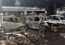 Noida Protest – नोएडा हिंसाचाराचे ‘पाकिस्तानी कनेक्शन? उत्तर प्रदेशच्या मंत्र्यांचा खळबळजनक दावा, तपासाला वेग