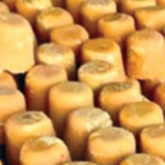 गुजरातच्या व्यापाऱ्यांमुळे कोल्हापूर, सांगलीतील गूळ उत्पादन बंद होण्याची वेळ, शेतकरी अडचणीत… बाजार समितीचा ढिसाळ कारभार