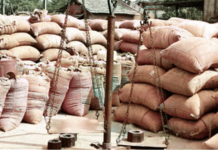 चार हजार शेतकऱ्यांचा भात गेला कुठे? शहापुरातील 6 केंद्रांवर फक्त 66 हजार क्विंटल भात खरेदी