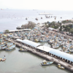 महाराष्ट्रातील मच्छीमारांवर उपासमारीचे भयंकर संकट… हजारो बोटी धक्क्याला ! डिझेलची आणि तुटवड्यामुळे होण्याची भीती