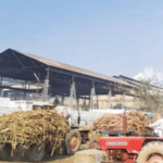 विश्लेषण – साखर कारखान्यांना पॅकेज, नक्की भले कोणाचे?