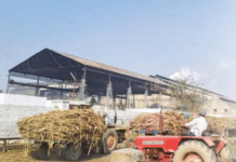 विश्लेषण – साखर कारखान्यांना पॅकेज, नक्की भले कोणाचे?