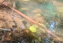 Ratnagiri News – पाण्यासाठी असुर्डे ग्रामस्थांचा एल्गार; 8 मे रोजी जिल्हाधिकारी कार्यालयावर ‘हंडा मोर्चा’