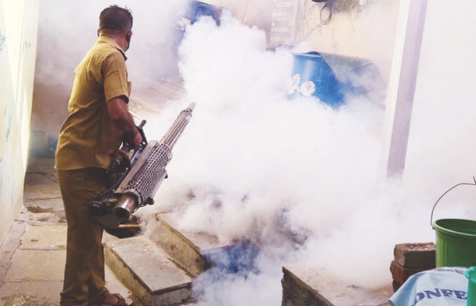 dengue