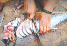 मासे खरेदी करताना ताजे की शिळे आहेत हे कसे ओळखाल?