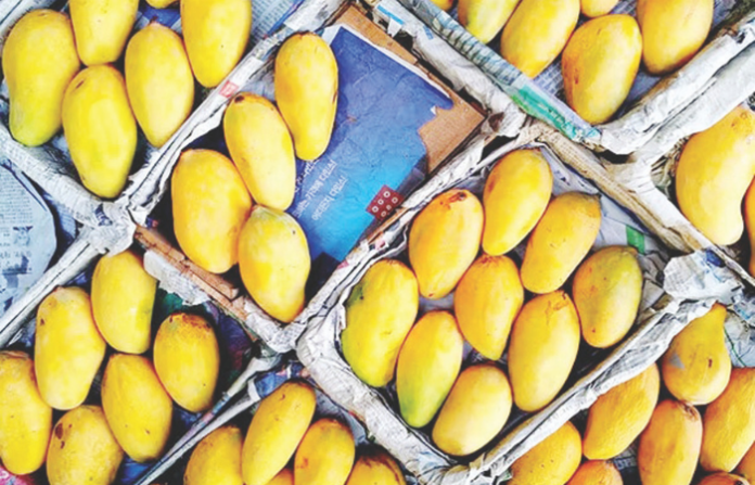 mango