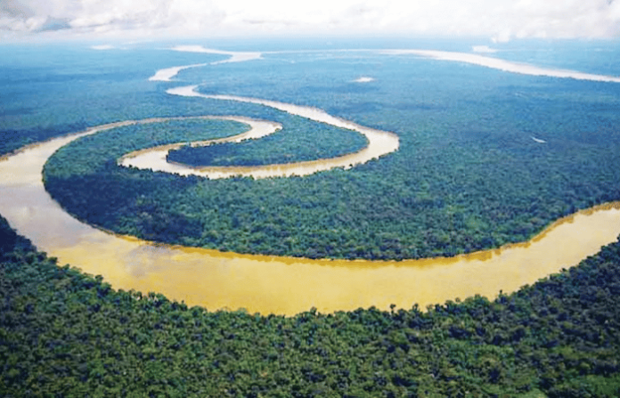 Amazon Rainforest