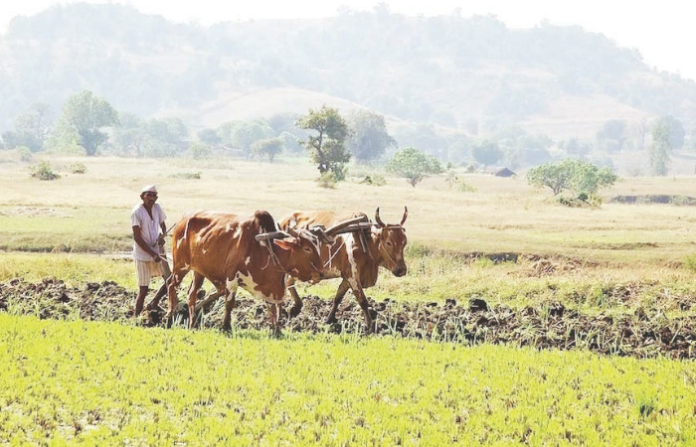 Farmer new