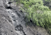 हिमाचलमध्ये ढगफुटीचा कहर; किन्नौरमध्ये पूर, सफरचंद बागांचे मोठे नुकसान