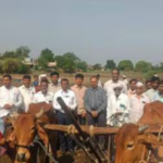 मदतीसाठी प्रशासन बांधावर; मशागतीसाठी बैल दिला, काशीनाथ गायकवाड यांच्या व्यथेची मुख्यमंत्र्यांकडून तातडीने दखल