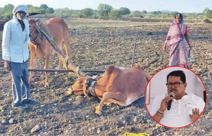 Vijay Namdevrao Wadettiwar