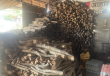 Ratnagiri News – हॉटेलवाल्यांचाही आगोट! गॅसटंचाईमुळे पावसात चुलीसाठी गोळा केले सरपण