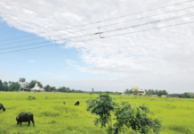 लेन्स आय – एकत्व निसर्गाशी मनाचे नाते