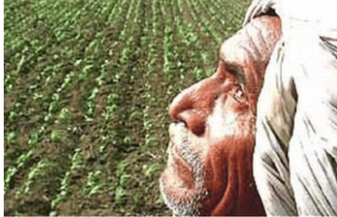 farmer