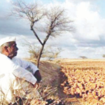 राज्यातील 30 जिल्हे कोरडेच! शेतकऱ्यांचे डोळे आभाळाकडे; आता रब्बी पिकावर मदार